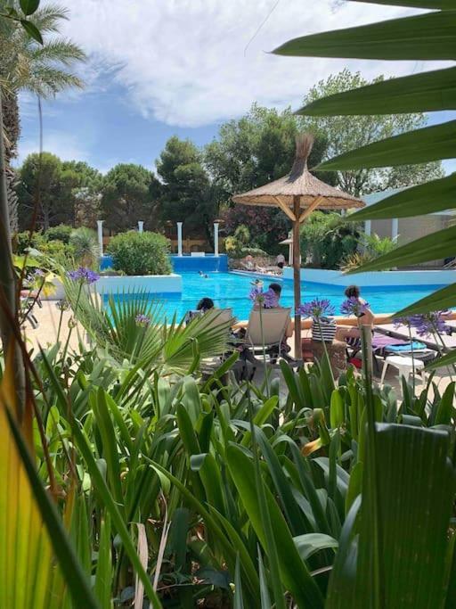 Appartement Cosy Confort Parking Clim Wifi Linge Acces Piscine Non Inclus Canet-en-Roussillon Esterno foto