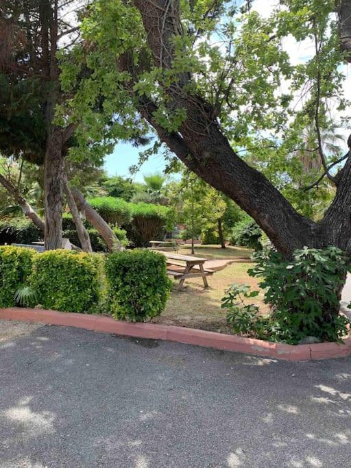 Appartement Cosy Confort Parking Clim Wifi Linge Acces Piscine Non Inclus Canet-en-Roussillon Esterno foto