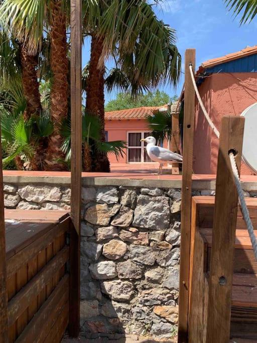 Appartement Cosy Confort Parking Clim Wifi Linge Acces Piscine Non Inclus Canet-en-Roussillon Esterno foto