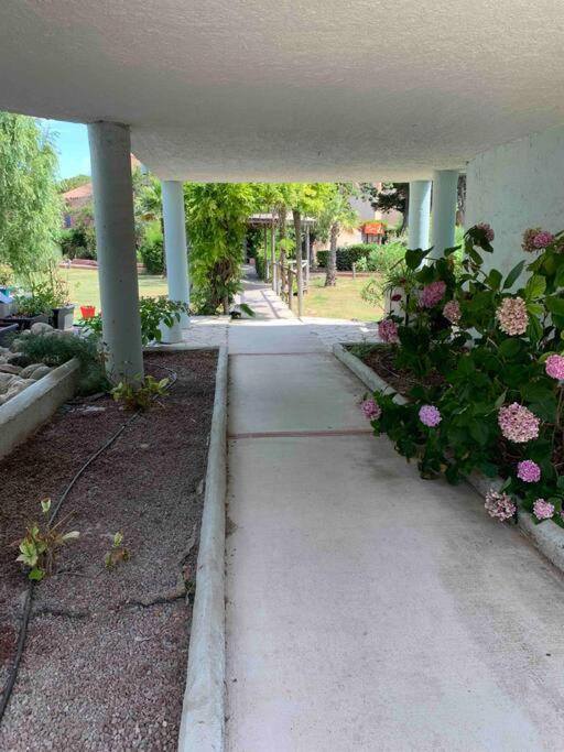 Appartement Cosy Confort Parking Clim Wifi Linge Acces Piscine Non Inclus Canet-en-Roussillon Esterno foto
